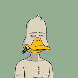Duck #5484
