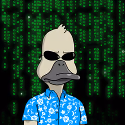 Duck #6557