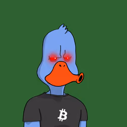 Duck #458