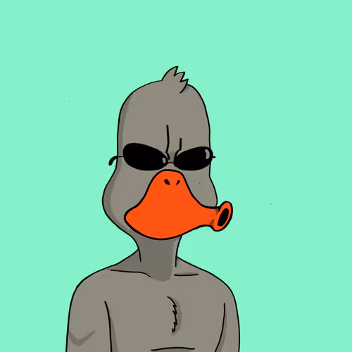 Duck #6401