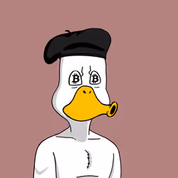 Duck #6887