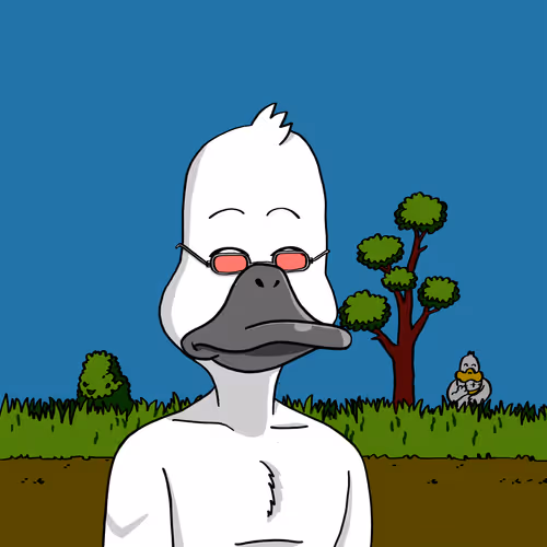Duck #5212