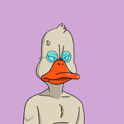 Duck #4311