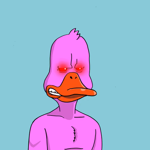 Duck #6474