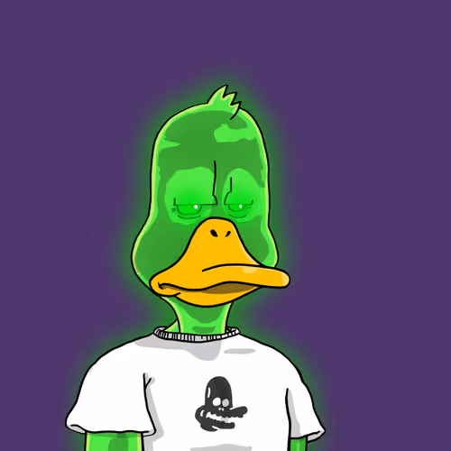 Duck #206