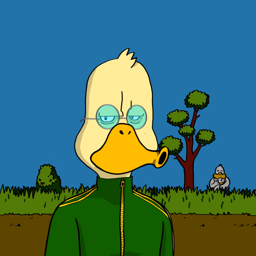 Duck #9941
