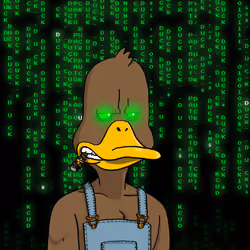 Duck #4010