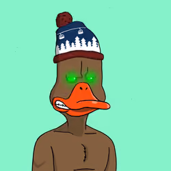 Duck #2107