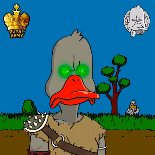 Duck #538