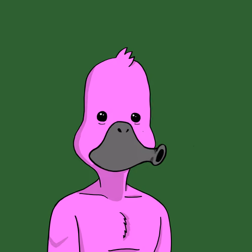 Duck #8447
