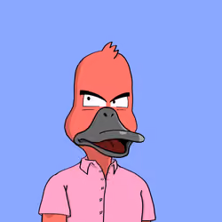 Duck #262
