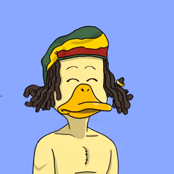Duck #6203