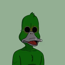 Duck #665