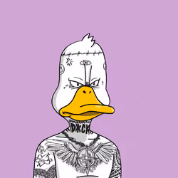 Duck #4686