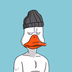 Duck #942