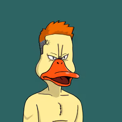 Duck #8165