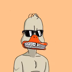 Duck #1151