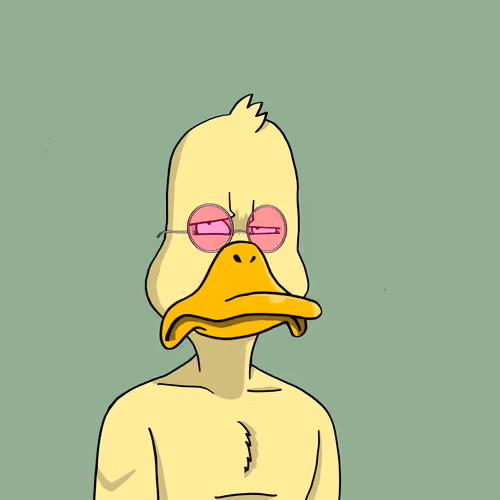 Duck #5989