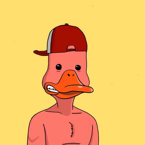 Duck #8869