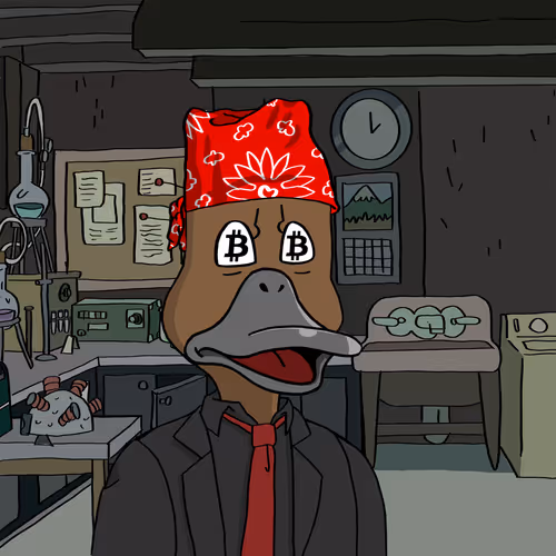 Duck #9952