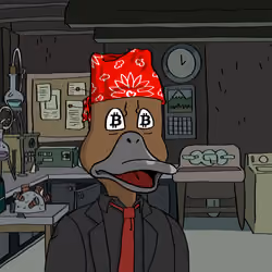 Duck #9952