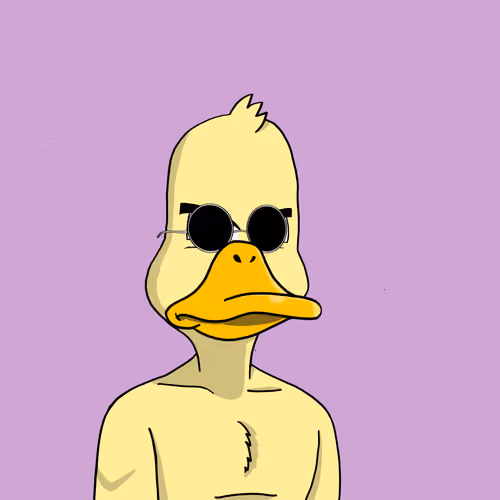 Duck #6621