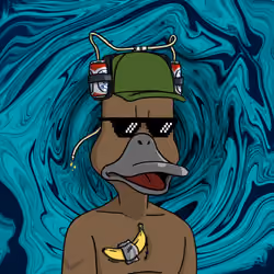 Duck #6411