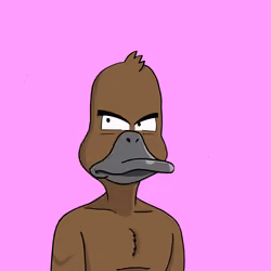 Duck #8536