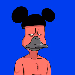Duck #6700