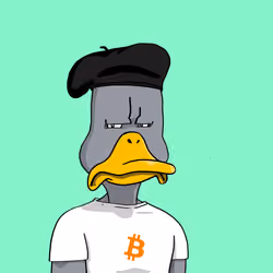 Duck #5215