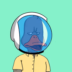 Duck #8964