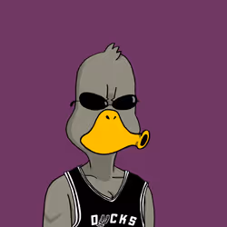 Duck #1763
