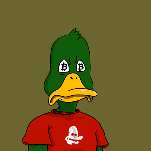 Duck #8782