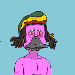 Duck #8511