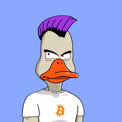 Duck #8332