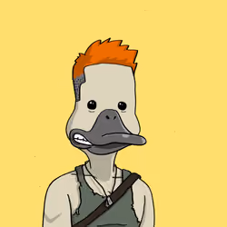 Duck #6212