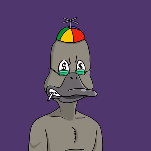 Duck #8720