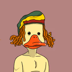 Duck #6256