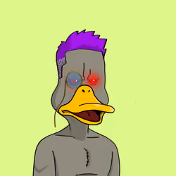 Duck #2211
