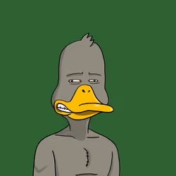 Duck #9570