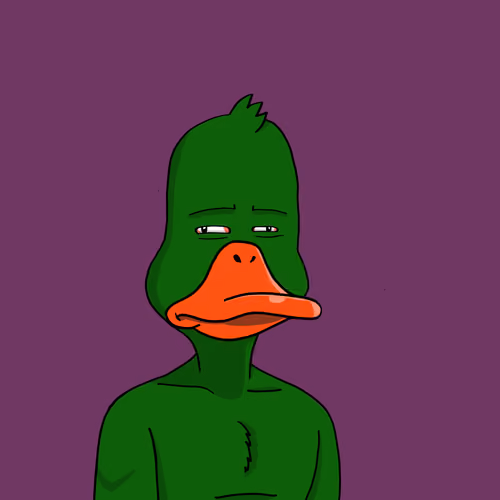 Duck #8678