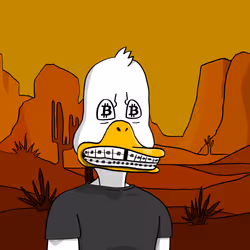 Duck #4140