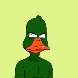 Duck #6360