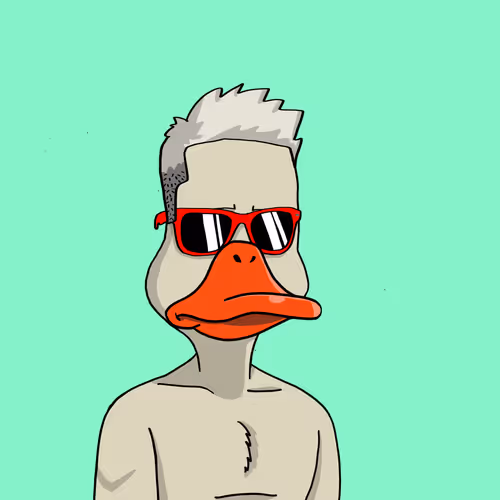 Nonconformistducks