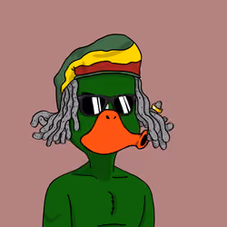 Duck #4800
