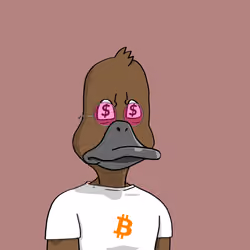 Duck #8911