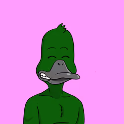 Duck #8271