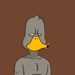 Duck #648