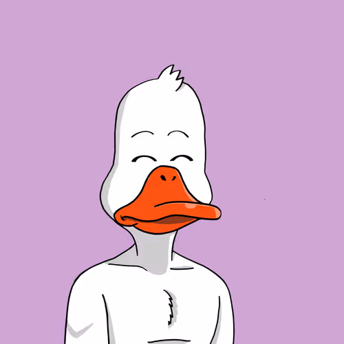Nonconformistducks