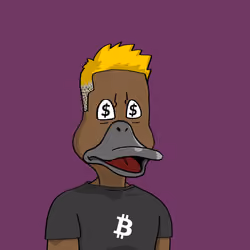 Duck #520